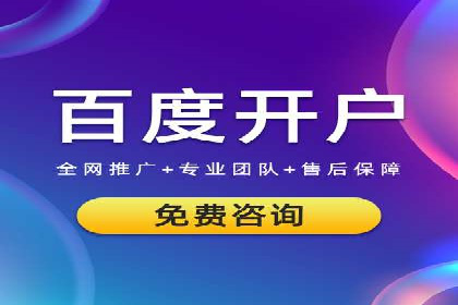 行业内的SEM竞价策略与效果对比案例